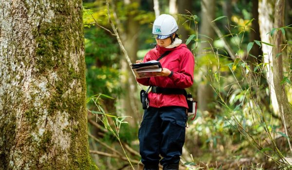 Top-Agricultural-Courses Forestry