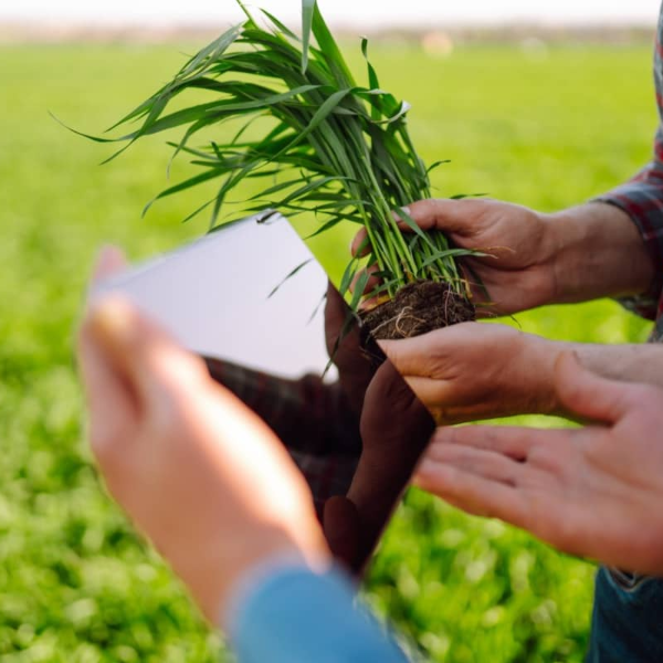 Top-Agricultural-Courses