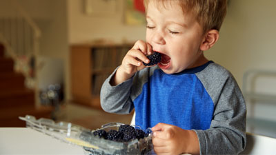 black berry raw fruit